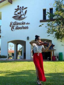 violino estancia dos oliveiras