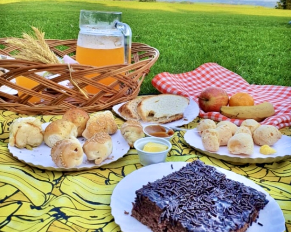 picnic estância das oliveiras