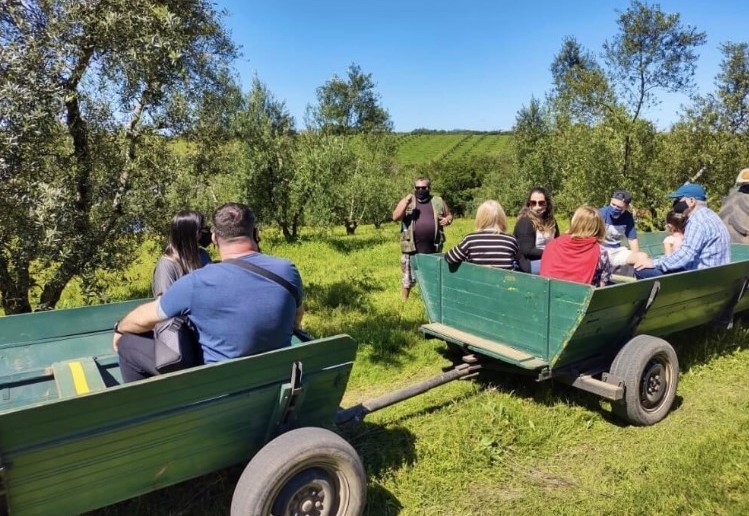 quinta da estancia trator