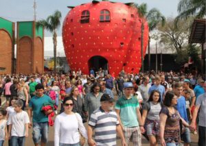 festa nacional do moranguinho