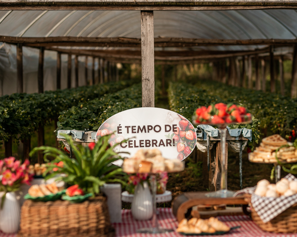 festa nacional do moranguinho