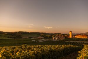 vinícola miolo - vale dos vinhedos