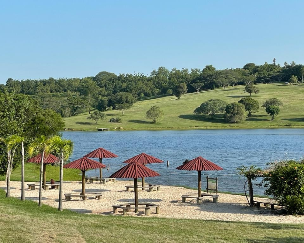 verão quinta da estância