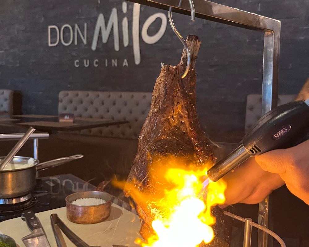 don milo gramado - cozinha show