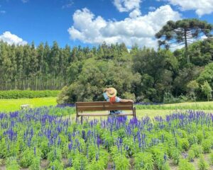 matria parque de flores